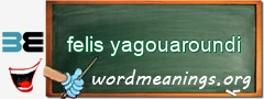 WordMeaning blackboard for felis yagouaroundi